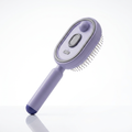 La Brosse Vaporisante 4-en-1